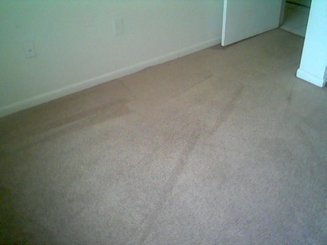 Clean Results!