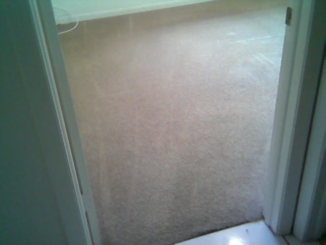 Clean Carpet After Cleaning
