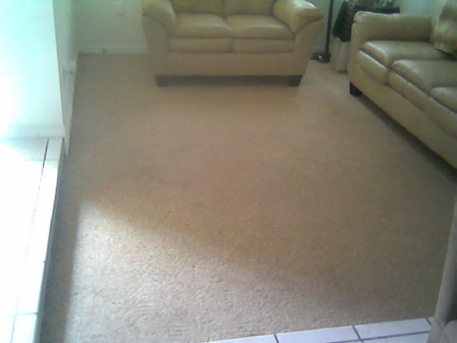 Before and After Carpet Cleaning