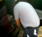 Car Carpet Cleaning - Top Steamer 305-631-5757
