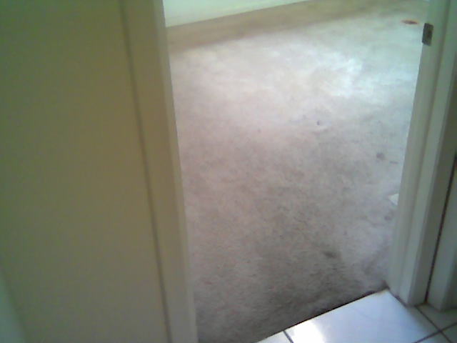 Dirty Carpet Before Cleaning