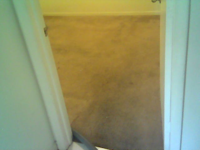 Dirty Carpet