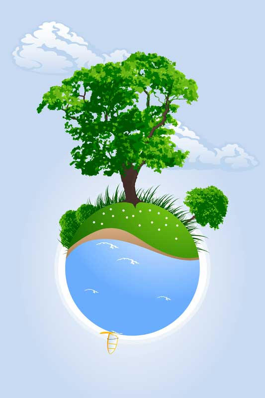 We support green cleaning we use environmentally friendly equipment and cleaning solutions