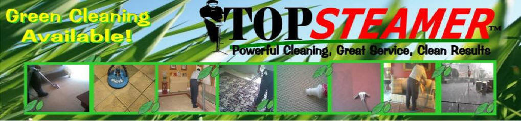 Top Steamer Carpet & Upholstery Cleaning Miami 305-631-5757