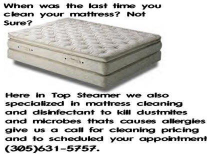 Professional Mattress Cleaning & Disinfect Service 305-631-5757 Top Steamer