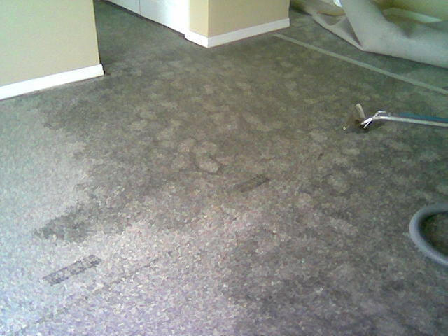 Water Damage Miami - Fort Lauderdale 305-631-5757